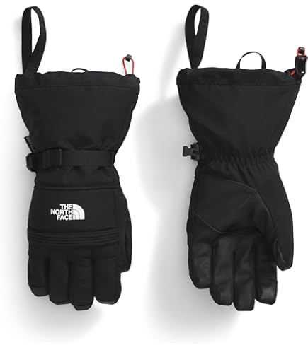 Amazon.com : Burton Mens Deluxe Gore-Tex Glove, Bog Heather, Small